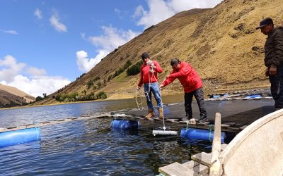 Gobierno Regional de Ayacucho e ITP fortalecen la sostenibilidad acuícola con servicios tecnológicos en la laguna Qanchiccocha