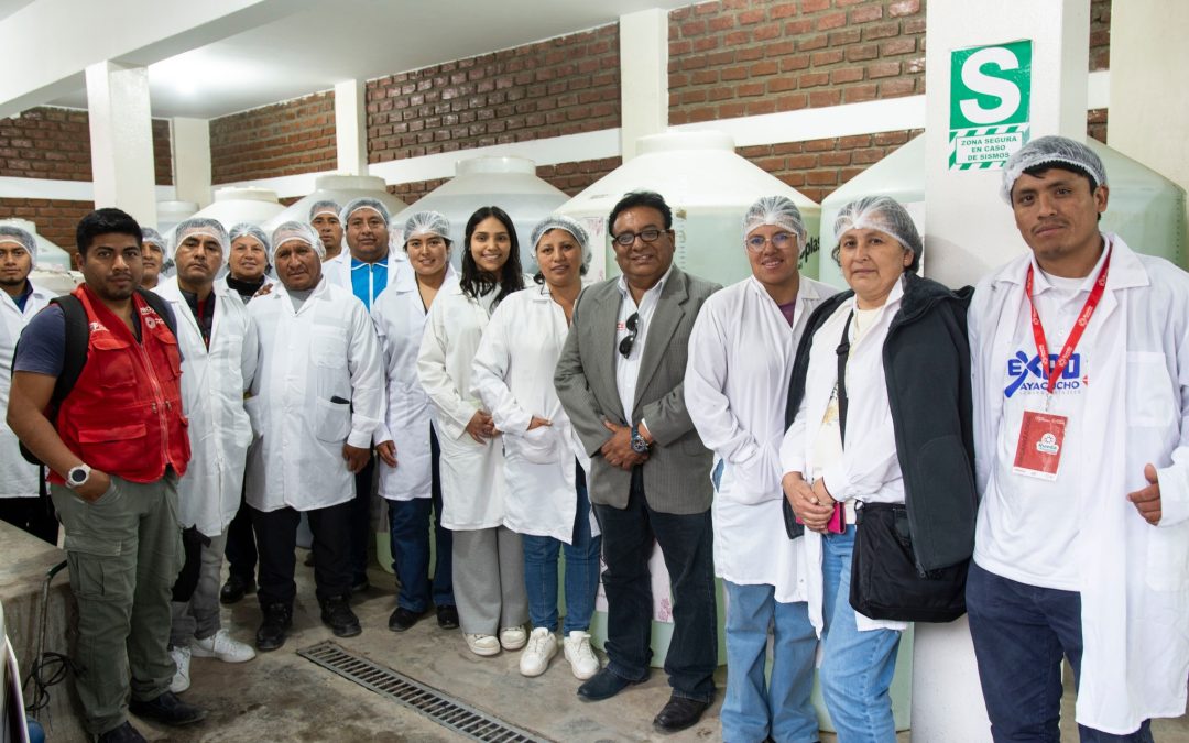 Pasantes ayacuchanos fortalecen sus conocimientos en el CITE Agroindustrial Ica y reconocidas empresas del sector bebidas y vitivinícola
